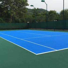 ��ϩ�����